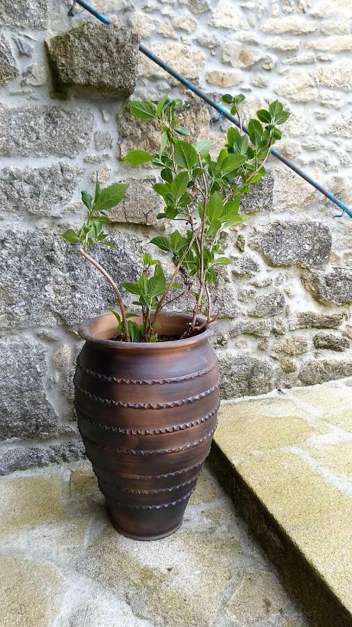 Pensjonat Casa Dario Diomondi Zewnętrze zdjęcie