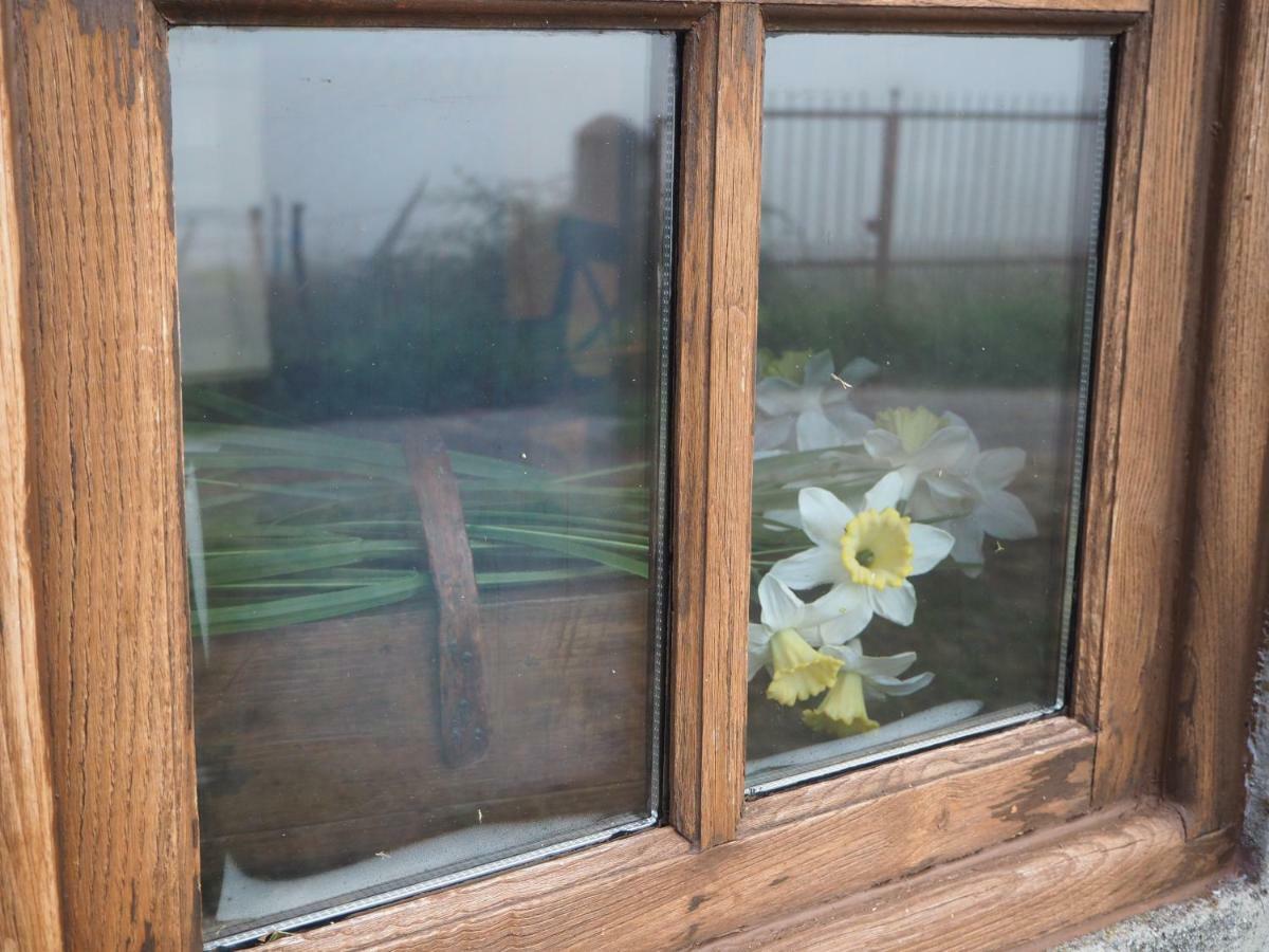 Pensjonat Casa Dario Diomondi Zewnętrze zdjęcie