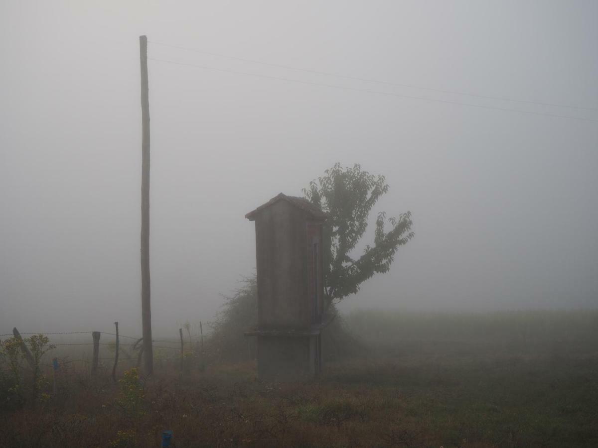 Pensjonat Casa Dario Diomondi Zewnętrze zdjęcie